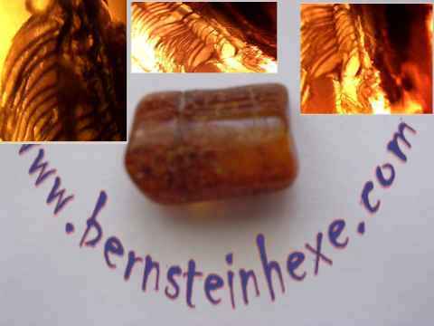 Bernstein mit einer Deckfeder