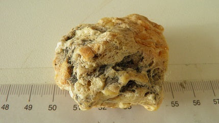 Handschmeichler Rohbernstein 21,1g