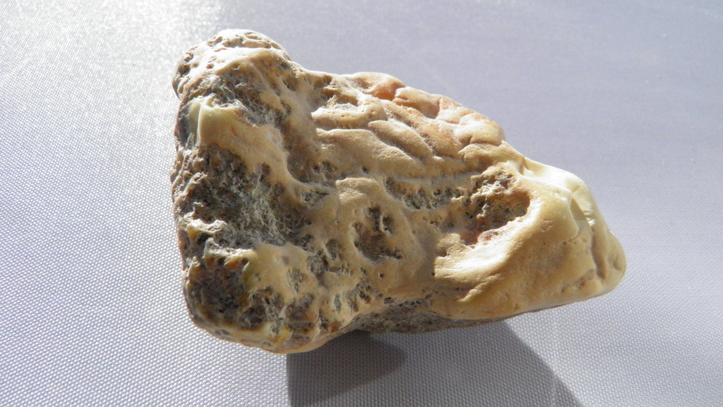 Rohbernstein mit Inklusen 15,8g