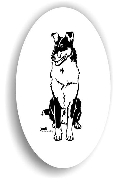 Collie Kurzhaar Sticker Aufkleber