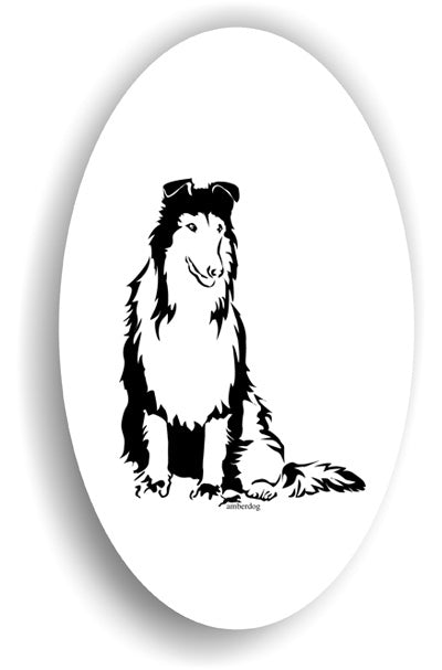 Collie Sticker Aufkleber