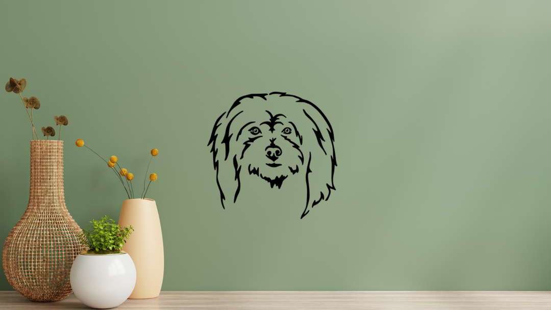 Coton de Tulear Kopf Wandtattoo Wandbild Wandsticker Wandaufkleber Wanddekoration