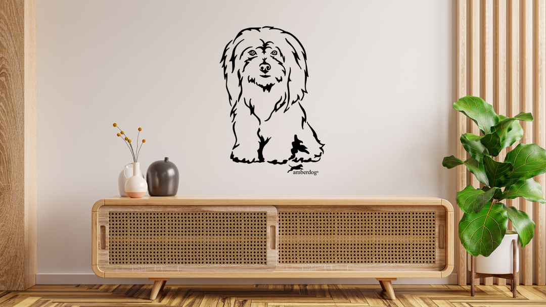 Coton de Tulear Wandtattoo Wandbild Wandsticker Wandaufkleber Wanddekoration