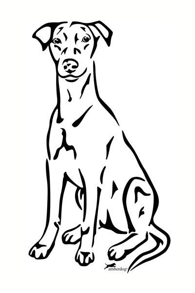 Deutscher Pinscher Grafiklizenz
