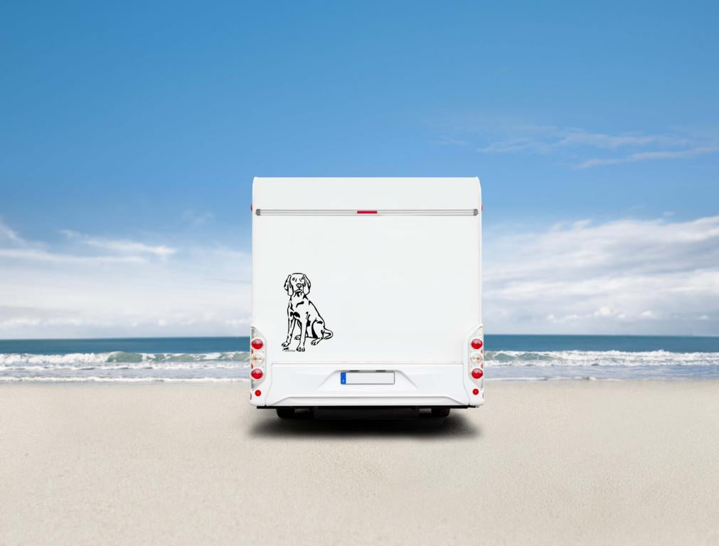 Weimaraner Auto Wohnmobil Aufkleber