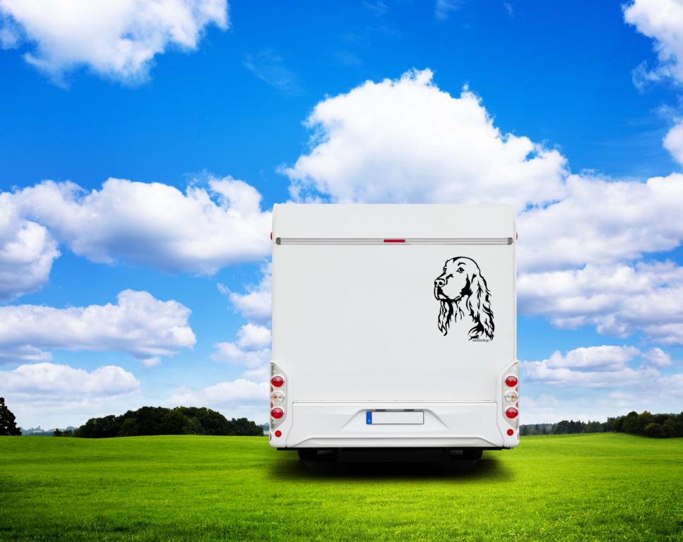 Irish Setter Kopf Wohnmobil Aufkleber