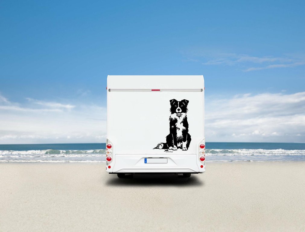 Border Collie Wohnmobil Aufkleber