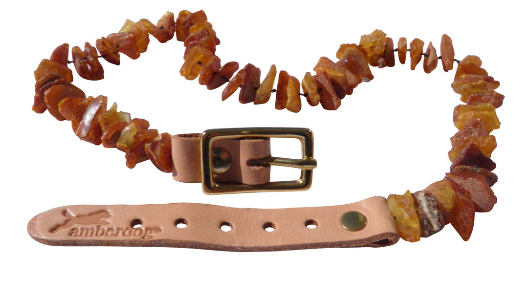 Bernsteinkette SuperFlex B.Ware für Hunde