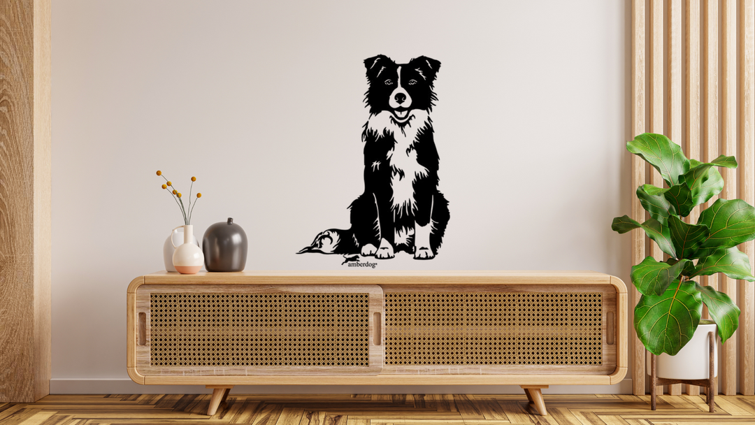 Border Collie Wandtattoo Wandbild Wandsticker Wandaufkleber Wanddekoration