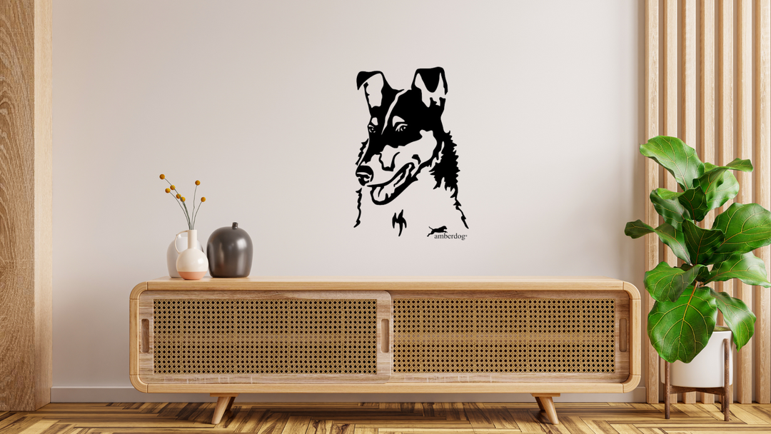Collie kurzhaar Kopf Wandtattoo Wandbild Wandsticker Wandaufkleber Wanddekoration