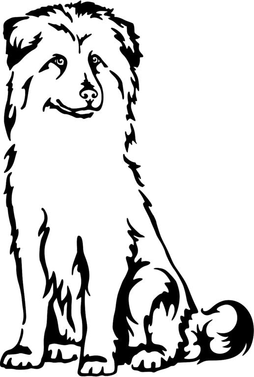 Pyrenäen-Schäferhund - Berger des Pyrènèes Grafiklizenz
