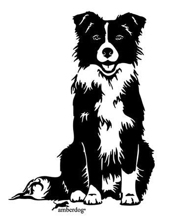 Border Collie Grafiklizenz