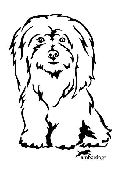 Cotton Tulear Grafiklizenz