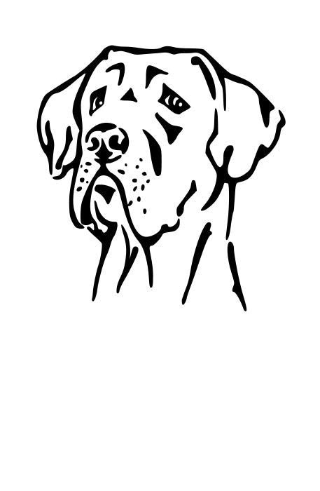 Deutsche Dogge Kopf Auto Aufkleber