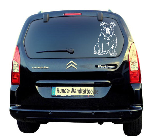 Englische Bulldogge Autoaufkleber