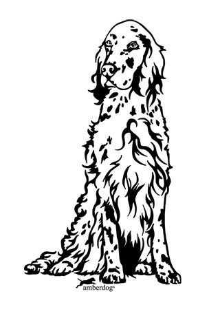 English Setter Grafiklizenz