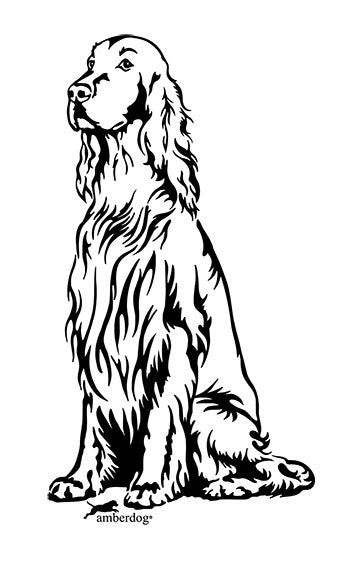 Irish Setter Grafiklizenz