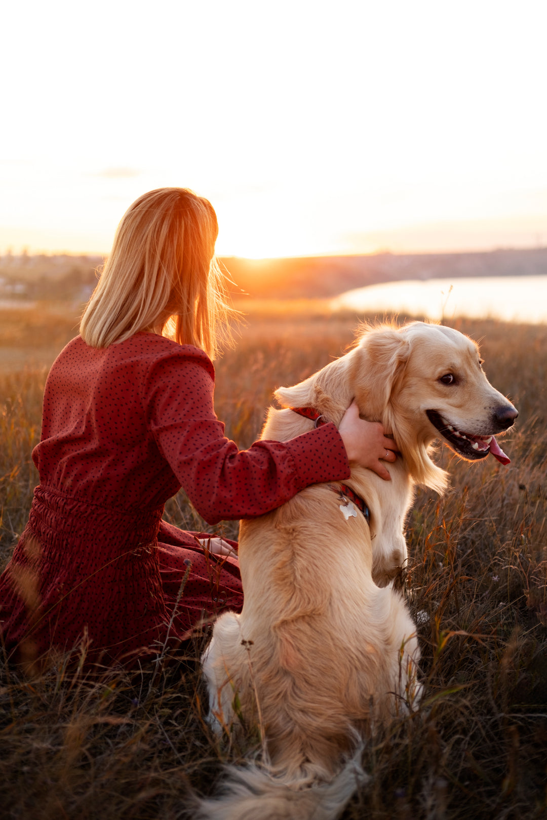 amberdog®: Unsere Ketten Banner