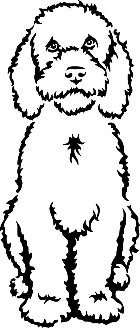Portugiesischer Wasserhund Grafiklizenz