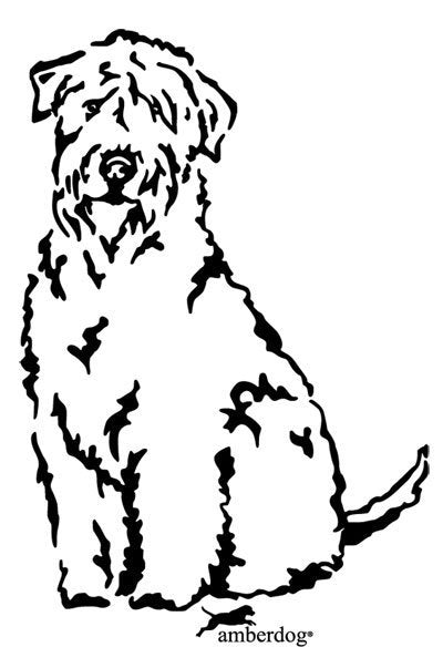 Irish Soft Coated Wheaten Grafiklizenz