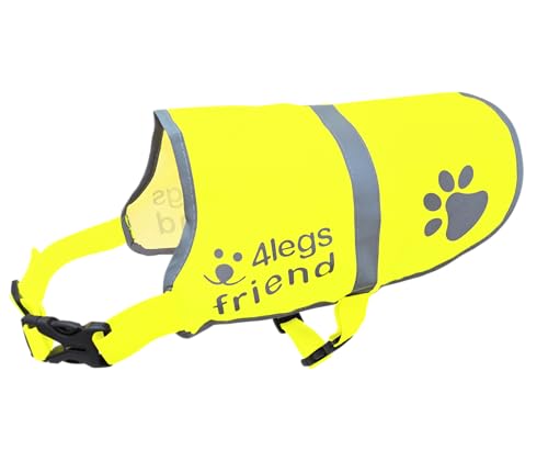 Illumiseen LED Hundehalsband Nacht –  Hund Sicherheit 2025