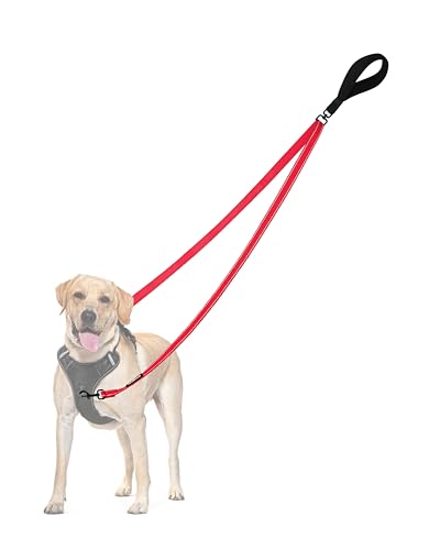 Alcott Explorer Hundegeschirr –  Hund Sicherheit 2025