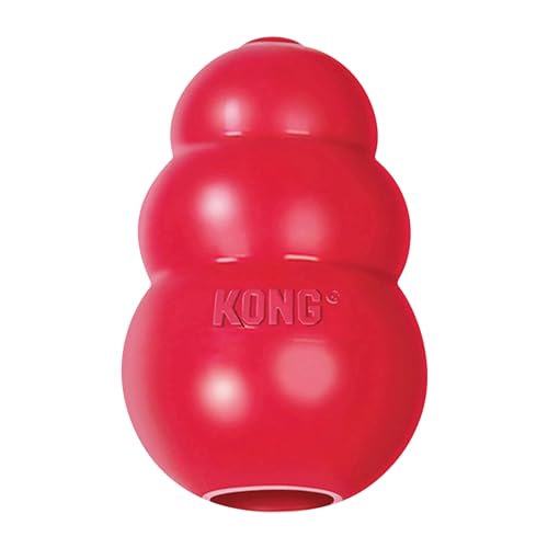 KONG Classic Spielzeug Hund robust gummi Spielzeug Test 2025