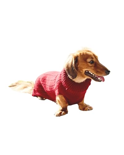 Adaptil Transport Halsband Beruhigung Hund Hundepflege Test 20