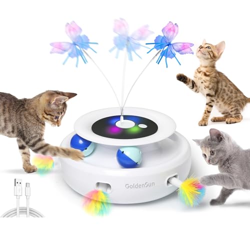Cat Dancer 101 Katzenspielzeug interaktiv Katze Spielzeug 2025