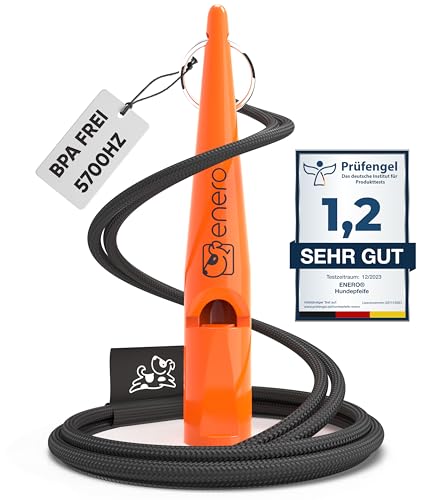 Clicker Hundetraining mit Armband Training Test 2025