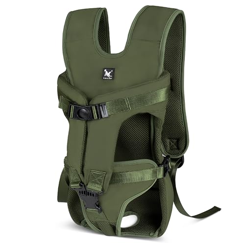 Ruffwear Approach Pack Hunde Rucksack Reise Test 2025