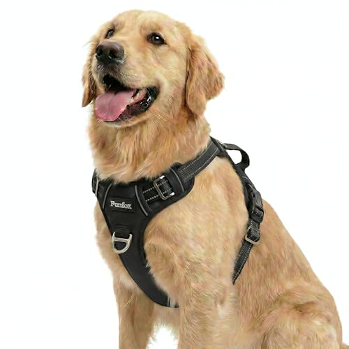 EzyDog Chest Plate Harness Hundegeschirr Training Test 2025