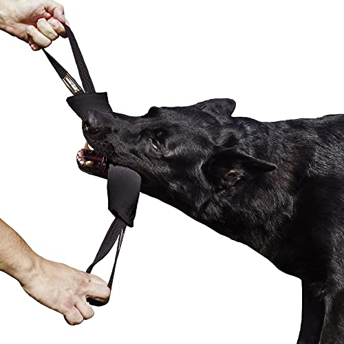 Benebone Bacon Kauspielzeug Hund langlebig Spielzeug Test 2025