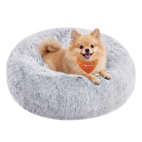 Basics Katzenbett Donut Wolke ultra soft Katzenbett Test 2025