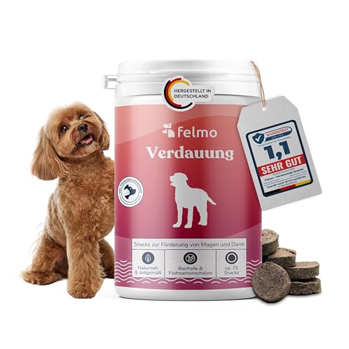Feliway HappyTravel Travelbox Hund Reise Test 2025