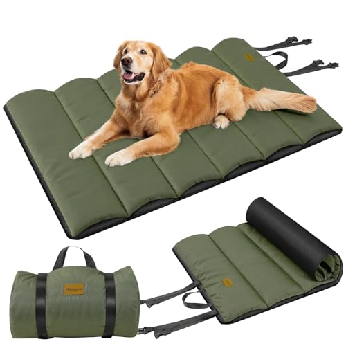 Animonda GranCarno Adult Hundefutter Hundepflege Test 2025