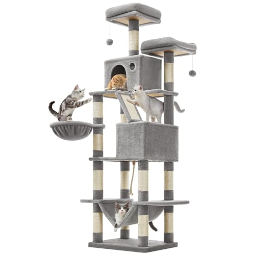 Kitty City Pop Up Kratzturm Katze faltbar Katze Spielzeug 2025