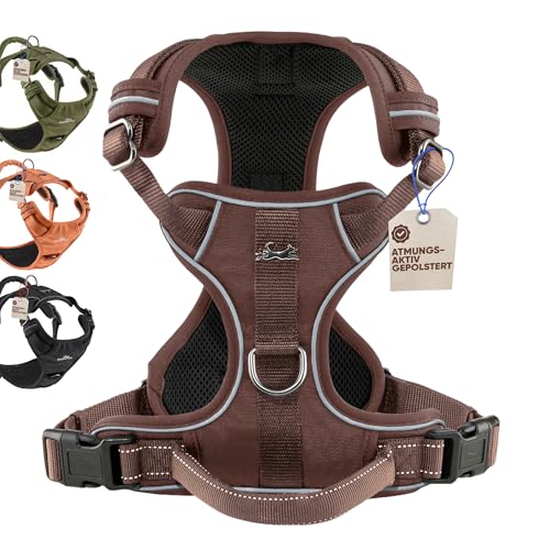 PetSafe Easy Walk Kein-Zug-Brustgeschirr Training Test 2025
