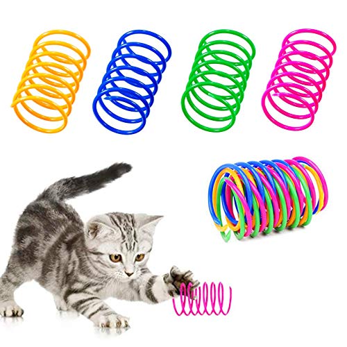 BioGance No Rinse Katzenreinigung trocken Katzenpflege Test 20