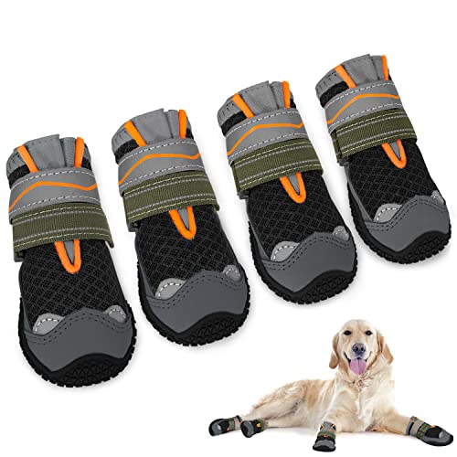 Stichfix Hundeshampoo Bio Sensitiv Hundepflege Test 2025