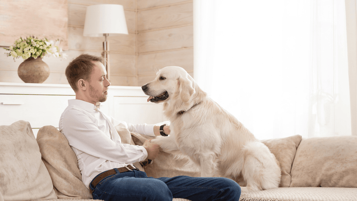 🐕🏠 Alltag mit Hund auf engem Raum – Nähe ohne Dauerstress