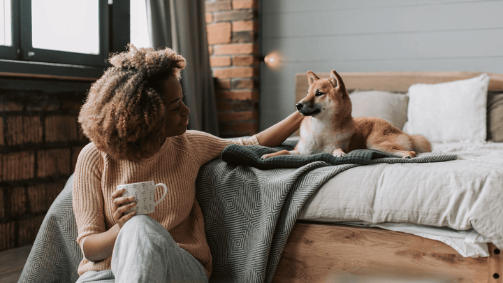 Alltag mit Hund – praktische Lifehacks für ein entspanntes Zusammenleben