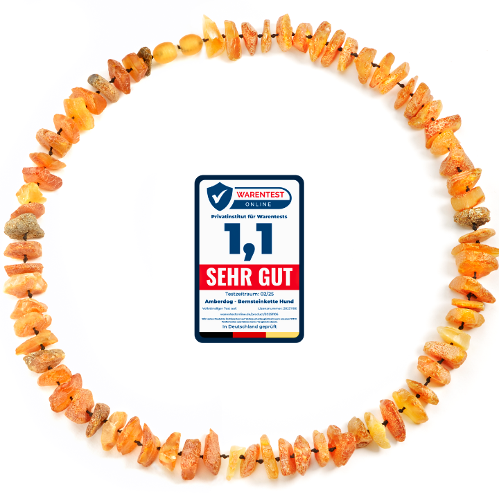 Bernsteinketten für Hunde