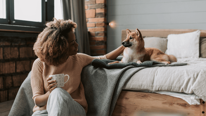 🐕😕 Eifersucht beim Hund – wenn Aufmerksamkeit plötzlich fehlt