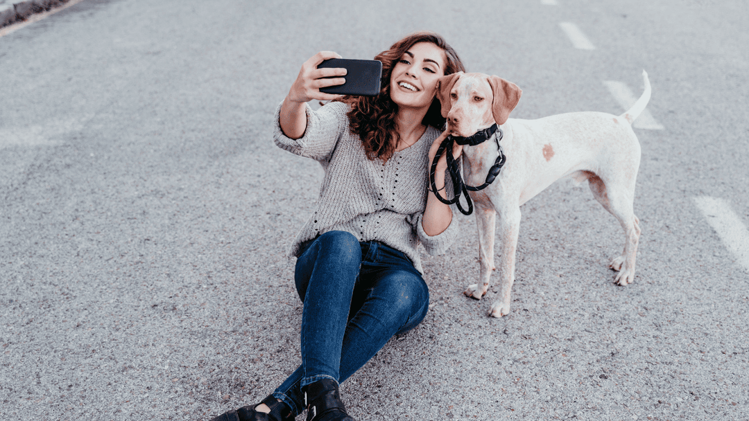 🐕📸 Erinnerungen bewahren – ohne festzuhalten