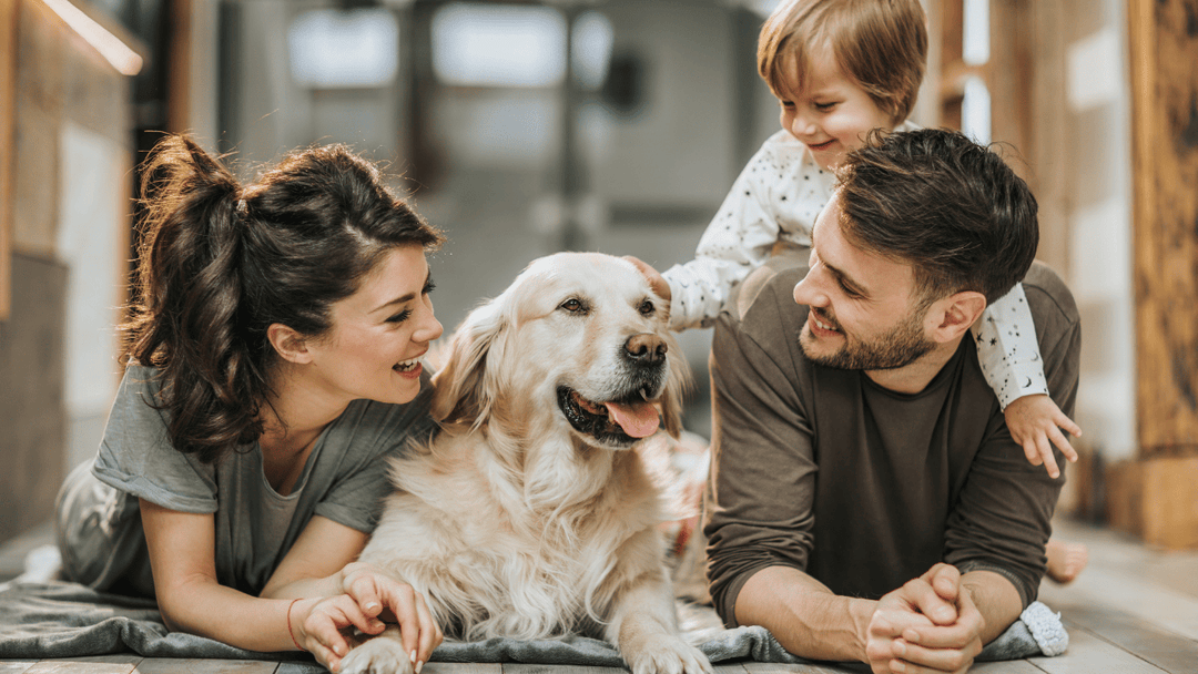 🐕📋 Familienregeln mit Hund – Klarheit für alle