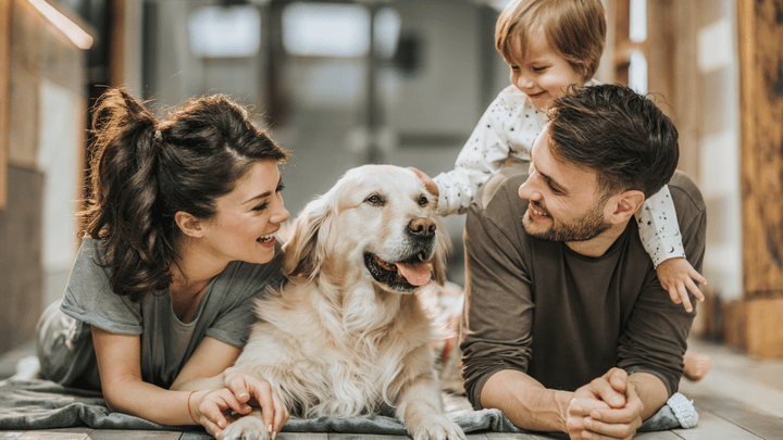 🐕📋 Familienregeln mit Hund – Klarheit für alle