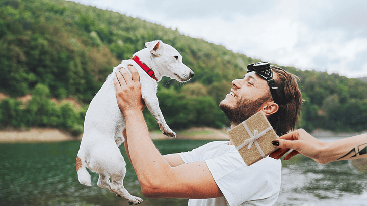 Geschenke für Camper mit Hund, Bernsteinkette Hund Geschenk, Camper Hund Geschenkidee, Vanlife Hund Geschenk, Camping Hund Zubehör, Bernsteinkette Hund, Geschenk Hundebesitzer Camping, Outdoor Hund Geschenk, Wohnmobil Hund Zubehör