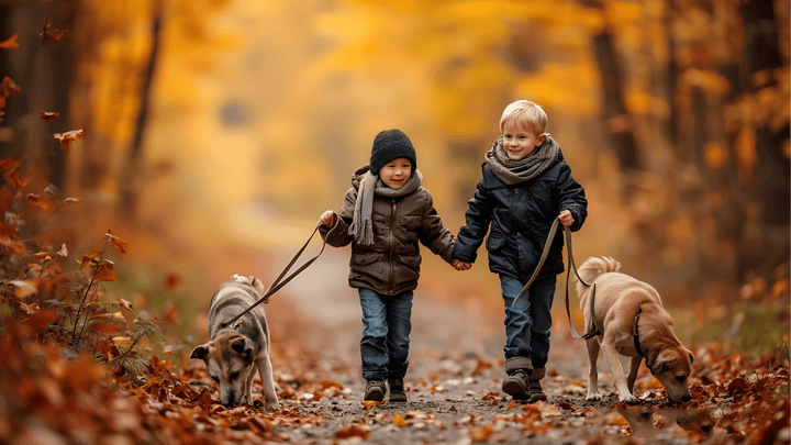 Hund & Alltag mit Kindern – Verantwortung für alle Seiten
