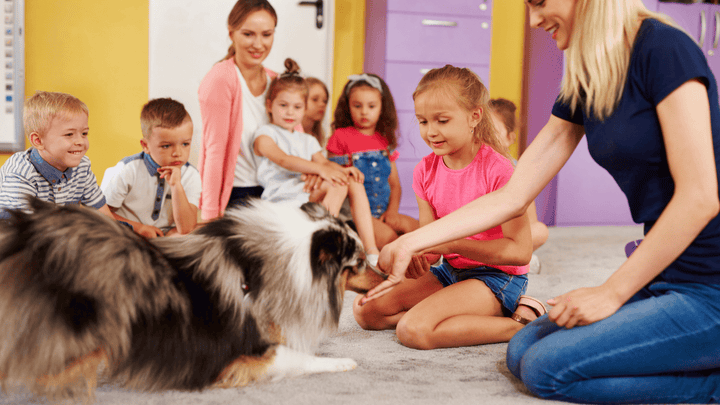 🐕🎈 Hund & Besuch mit Kindern – Hochrisikosituation richtig managen